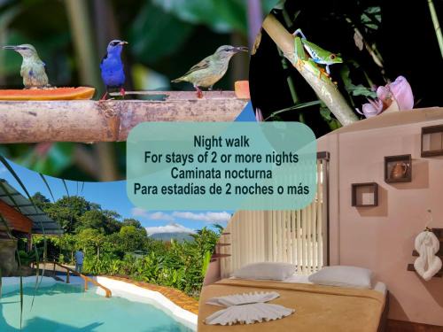 La Fortuna Hotel | Cabañas del Rio