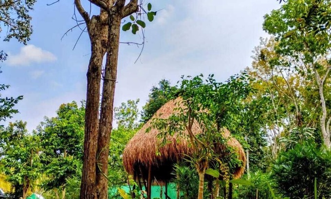 Xpujil Cabin | Cabañas la orquídea