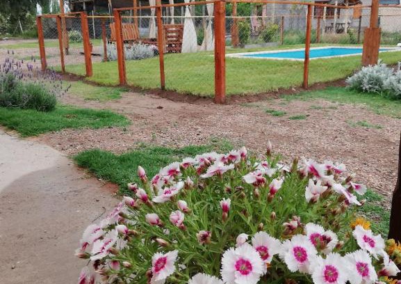 Rama Caida House | Cabañas mi Terruño