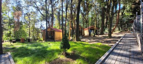 Huitzilac Other | Cabañas Vive el Bosque