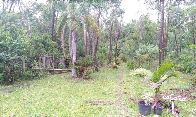 Sapiranga Other | Cabana Bambu