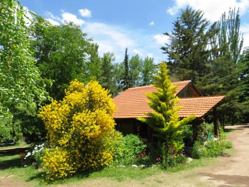 Cacheuta House | Cabanas Sumampa