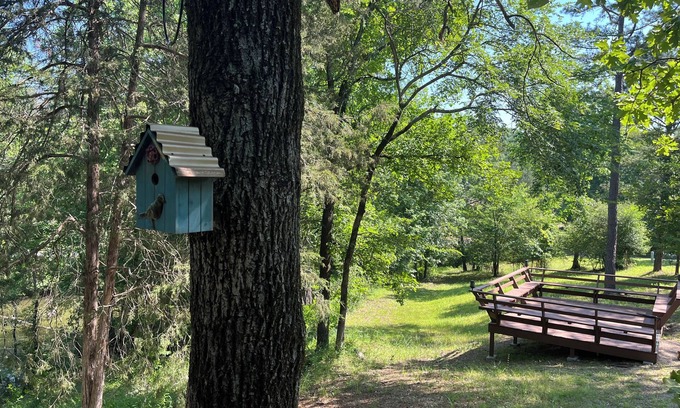 Royal Cabin | Cabin #15 Lake Beach Front