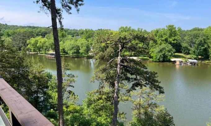 Royal Cabin | Cabin #18 Hillside Hideaway, small dog, 45 lb or under with 99 fee. Great View