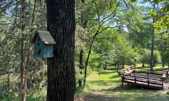 Mid America Cabin | Cabin #20 The Last Resort on the Lake