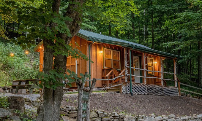 Allegheny Mountains Cabin | Cabin in the woods w/WIFI. >1 mi to Mon. Forest