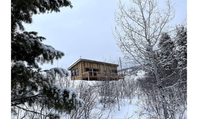 Victor Cabin | Cabin on the Creek