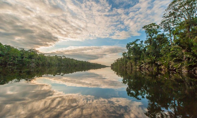 Tortuguero Hotel | Cabinas Balcon de Mar Tortuguero