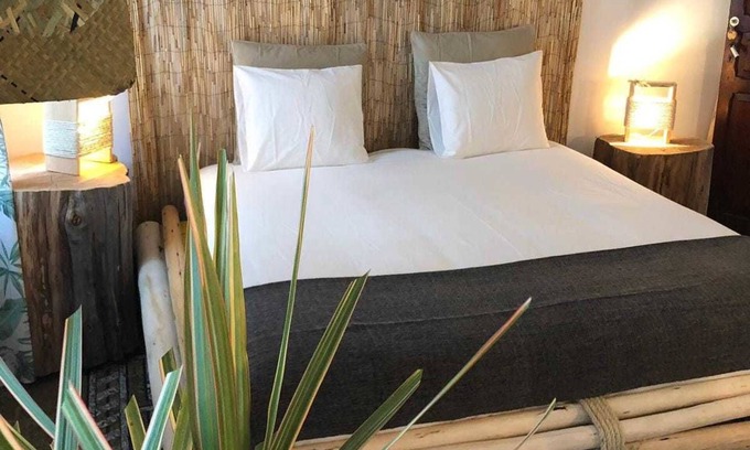 Las Palmas de Gran Canaria House | Cactus Host