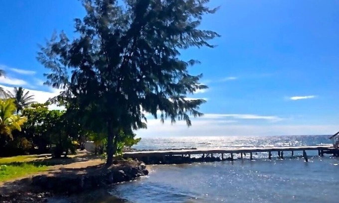 Calabash Bight Cottage | Calabash Reef House, 2 Bedrooms- Steps To The Ocean