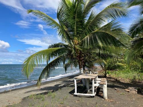 Cahuita Other | Camping Babsita-TIPI und Hütten und Stellplätze für Zelt und Camper direkt am Meer und See