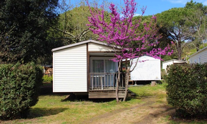 Saint-Jean-Pla-de-Corts House | Camping 3 étoiles - Piscine - cca0gbe