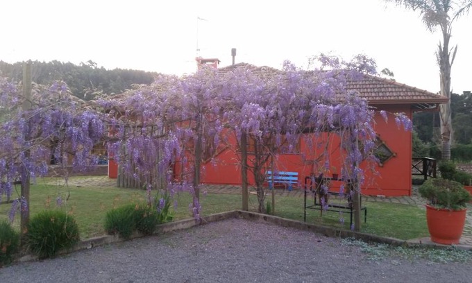 Carlos Barbosa Villa | Canto das saracuras