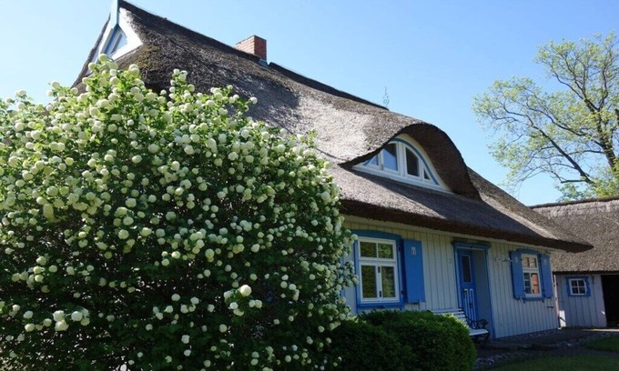 Wieck auf dem Darss Apartment | Captain House South Cats 8