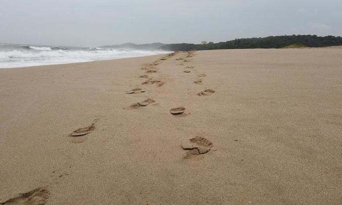 Port Edward Villa | Caribbean Estates: Barbados No. 12