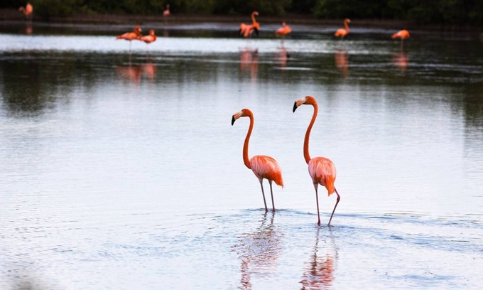 Municipality of Cienaga de Zapata House | Casa 46 Playa Larga