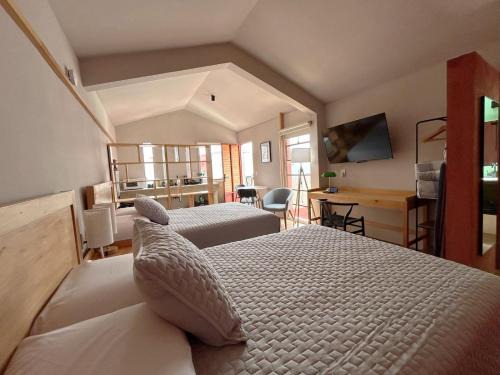 Comitan de Dominguez House | Casa Alicia