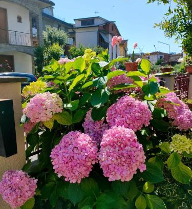 Montevarchi Apartment | Casa ANNA