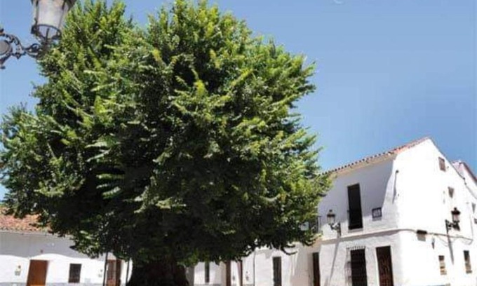 Cortelazor House | Casa coro