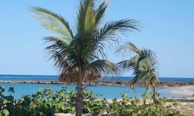 Boca de Camarioca House | Casa Daisy y Piloto