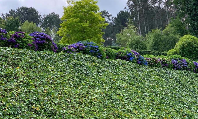 Figueroa House | Casa das Veigas