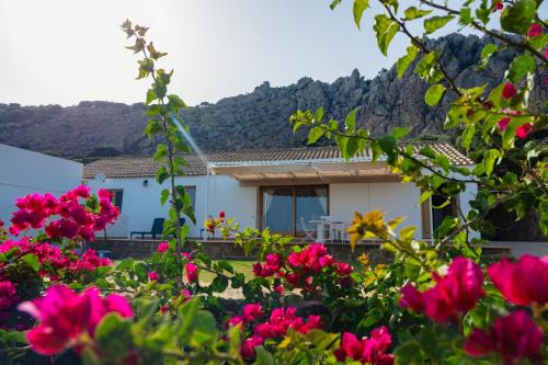 Bolonia House | Casa de Campo La Estancia