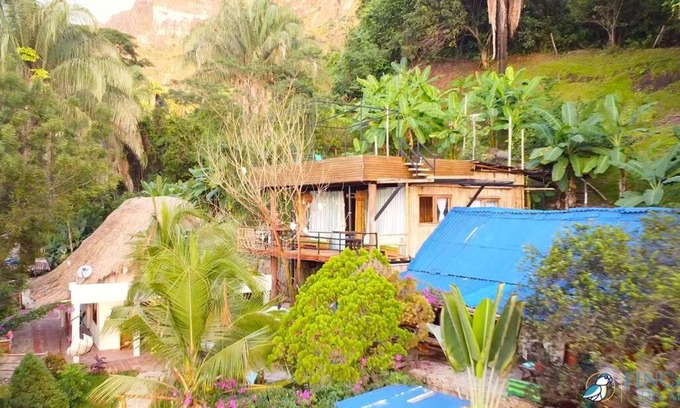 Purificacion House | Casa de las Guacamayas