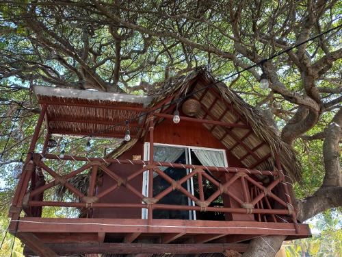 Saladita House | Casa del Árbol Barra la Saladita