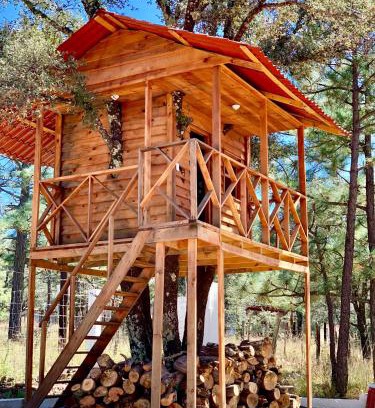 Durango Ski Chalet | CASA DEL ARBOL en la Sierra de Durango