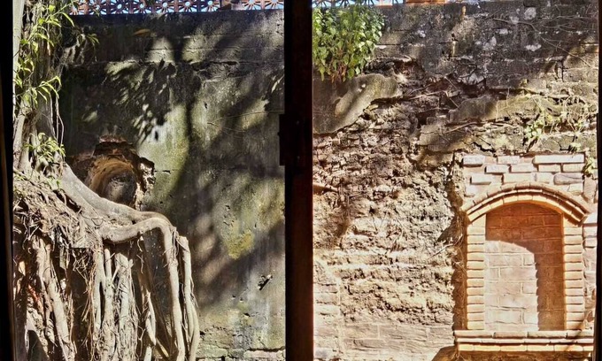 Sin Nombre Loc. San Blas Hotel | Casa del Arbol