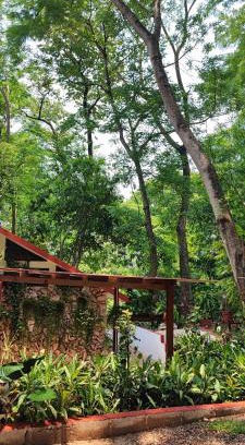 Palenque House | Casa Hadassa La Cañada