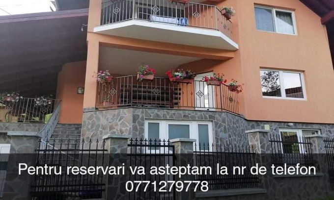 Viseu de Sus House | Casa Larisa