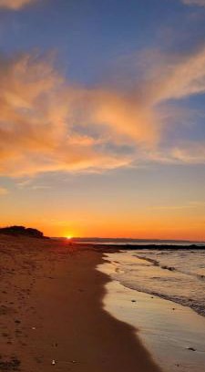 Rocha House | CASA LOBO - La Pedrera -Luxury- Diseño junto al Mar