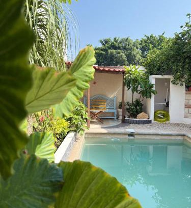 Yautepec House | Casa Madrigal-Pool - HiveNB