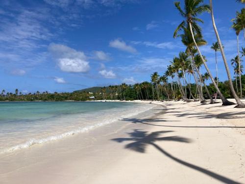 Las Galeras Apartment | Casa Marleny