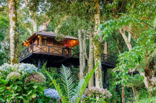 Monte Verde Cabin | Casa na Árvore Monte Verde
