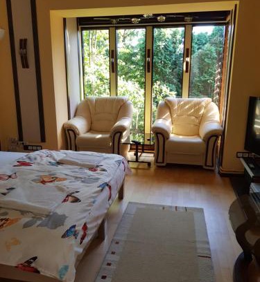 Tirgu Mures House | Casa Negoiu