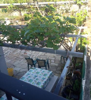 Ciudad Universitaria House | Casa Nodar