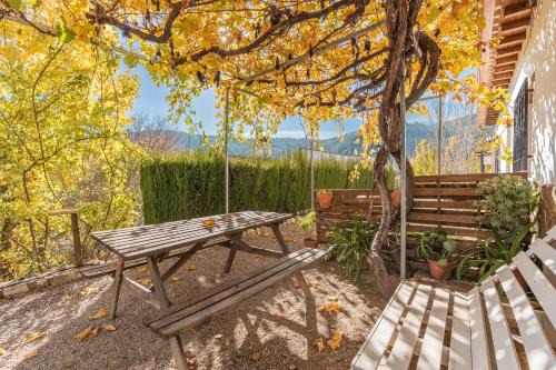 Castril Apartment | Casa Rocío Castril