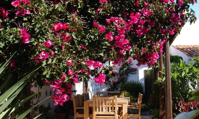 San Bartolome de Tirajana Hotel | Casa Rural Palomar - Men Only