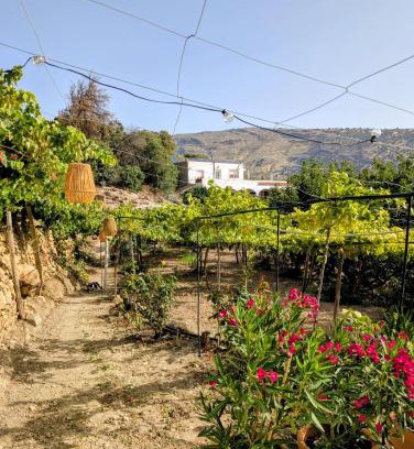 Ohanes Bed & Breakfast | Casa Rural en Ohanes, 1 dormitorio - El Cortijo Escondido, La Rosa