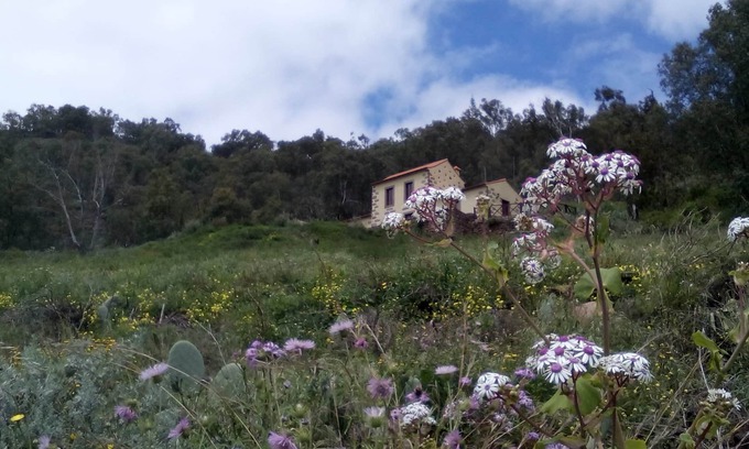 Teror Cottage | Casa Rural Las Caldereras