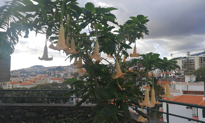 Santa Luzia House | Casa Vanday, Beautiful City View