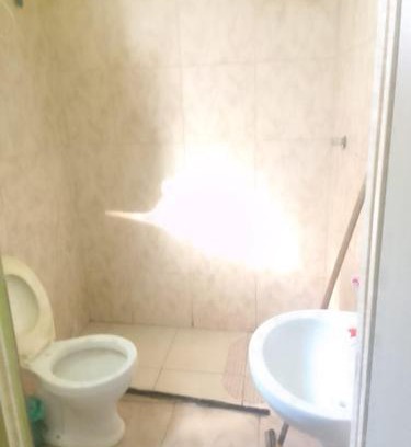 Paciencia House | Casa verde