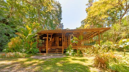 Punta Uva Cabin | Casa Viva Eco Lodge