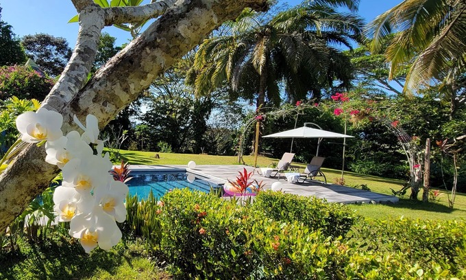 Langostino Villa | Casa Zenn : Beautiful Hill-top Villa nbooking from 9th-15th March plus 2 cats.