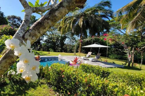 Langostino Villa | Casa Zenn Villa March26 plus 2 cats