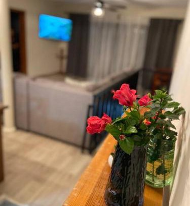 Aguascalientes House | CasaNinos, casa de la gente buena