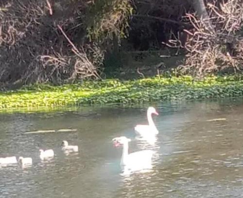 Papudo House | CasaRiquelme878