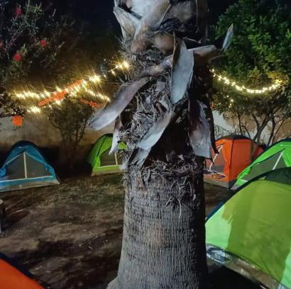 Tlahuac Other | casas de campaña para Dia de Muertos